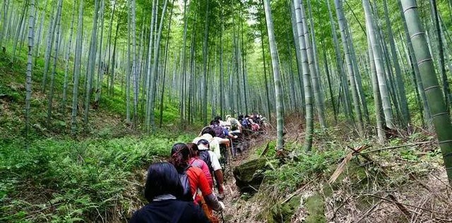 五四青年节让我们相约苏南第一峰,宜兴龙池山—黄塔顶