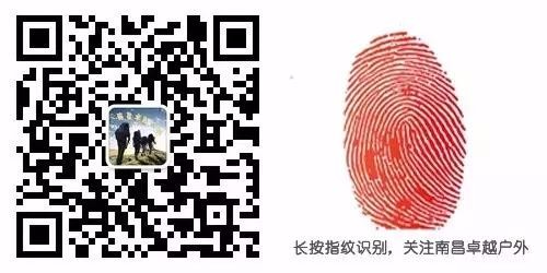 点击放大