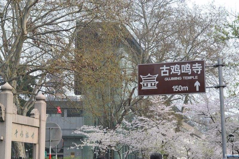 点击放大