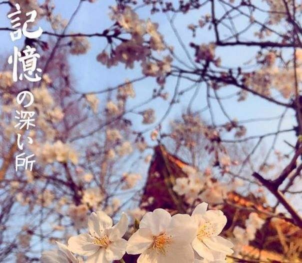 点击放大