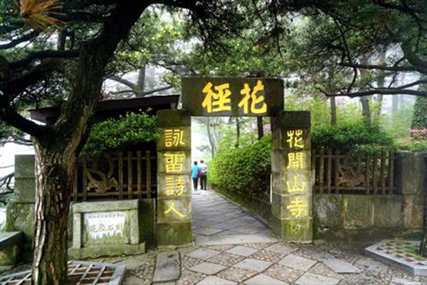 点击放大
