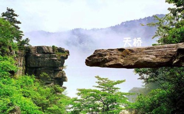 点击放大