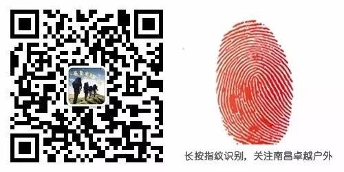 点击放大