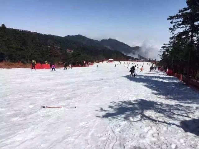 点击放大